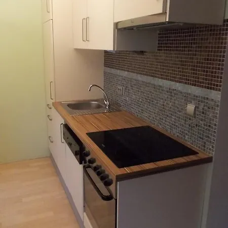 Apartment Fewo-rosenheim Im Zentrum Mit Kostenlosem Parkplatz Rosenheim